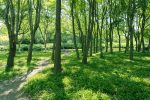 Neubau Konzerthaus: Weitere Maßnahmen auf Nachhaltigkeit, Umwelt- und Klimaschutz prüfen