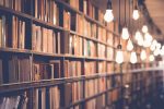 Ein sehr gut gefülltes Bücherregal