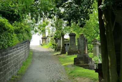 Blick auf einen baumbestandenen Weg über einen Friedhof