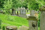 Besserer Hitzeschutz am Westfriedhof