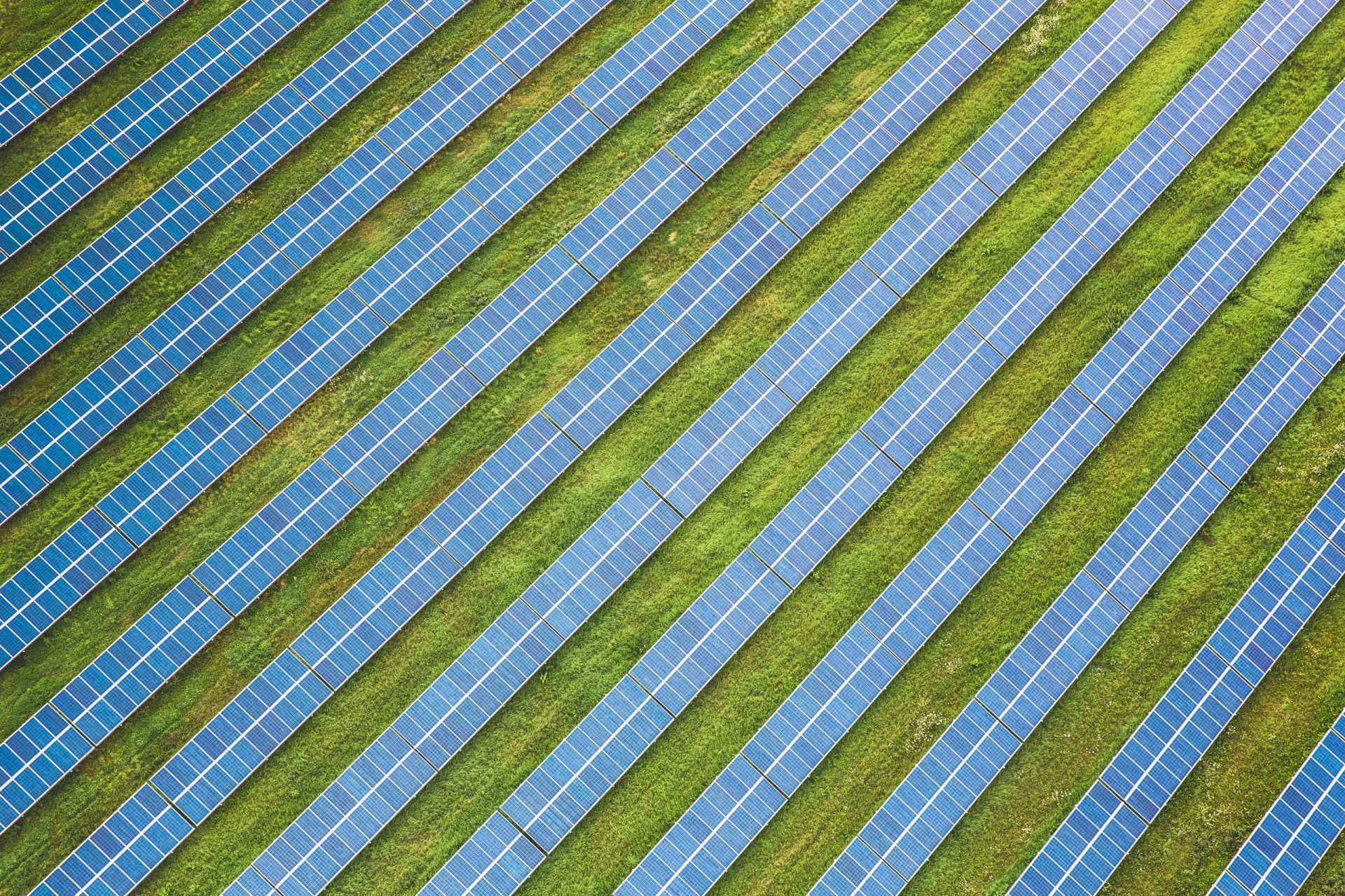 Blick auf einen Solarpark von oben