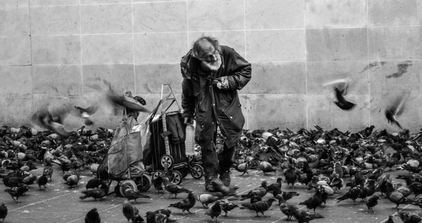 Älterer, obdachloser Mann mit Gepäck und Tauben um sich herum.