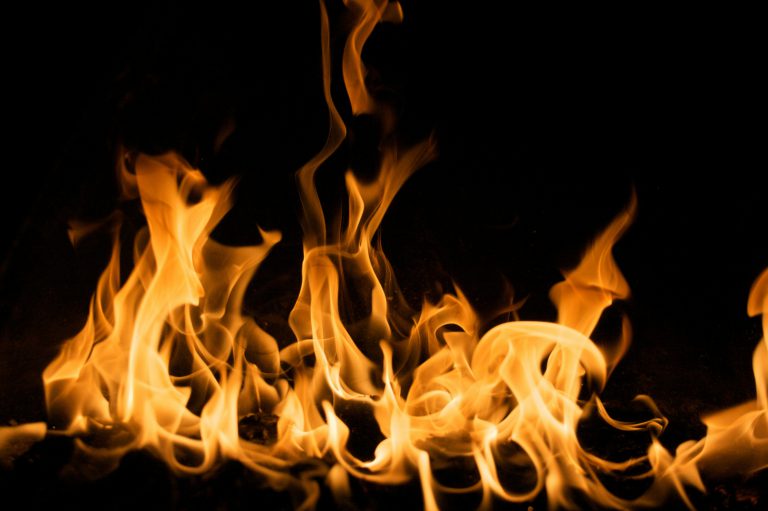 Aktiver Brand- und Waldschutz in Nürnberg                                                                        