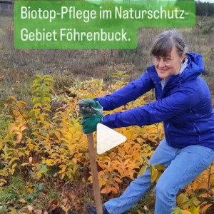 Britta Walthelm bei der Naturschutzpflege im Naturschutzgebiet am Föhrenbuck.